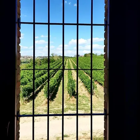 Alloggio per agriturismo Il Divin Casale Torgiano