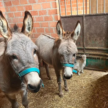 Il Divin Casale * Torgiano