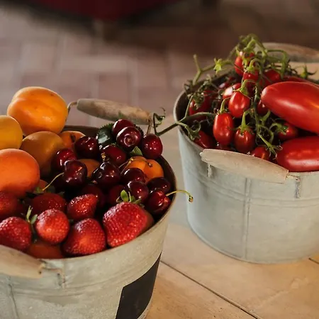 Alloggio per agriturismo Il Divin Casale *