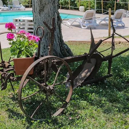 Agroturismo Il Divin Casale Torgiano